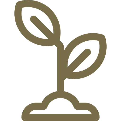 Ícone de Segurança